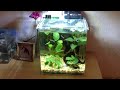 small or nano aquariums betta guppies u0026 adf