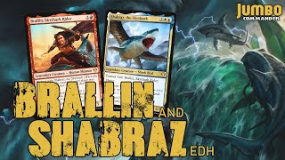 Brallin and Shabraz SKYSHARK Commander Deck