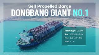 Introduction of Dongbang Giant Fleet  (English Version)