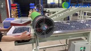 FstSort High quality blueberry grading machine