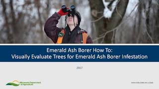 EAB Visual Inspection Guide