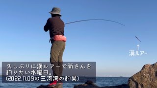 久しぶりに漢ルアーで魚を釣りたかった水曜日(2022.11.09の三河湾の釣果)#三河湾 #釣り #ロックフィッシュ @TAKENOKO-TARO