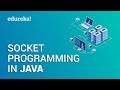 Socket Programming in Java | Client Server Architecture | Java Networking | Edureka