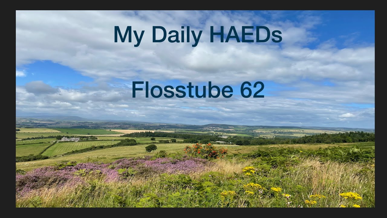 Flosstube 62 Youtube
