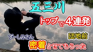 【五三川 団地前】トップで絶好調のずーしみさんに密着した