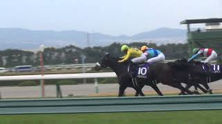 [競馬レース現地撮影] 第73回阪神ジュベナイルフィリーズ(GⅠ)･2歳＜1600m芝＞