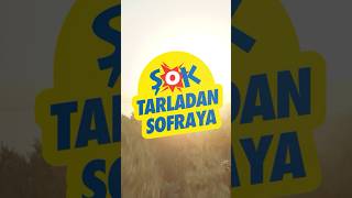 Tarladan sofraya zeytin, bize emanet!