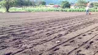 2014.08.27　ようやく雨が上がり　ごんべいでナタネ播種