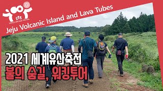 불의 숨길, 워킹투어 - 2021 세계유산축전 제주 화산섬과 용암동굴 - 세계자연유산을 직접 경험할 수 있는 특별한 트래킹 코스!! 직접 느껴보세요!