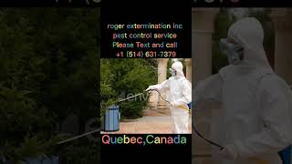 Pest control service#short#Sviral#video