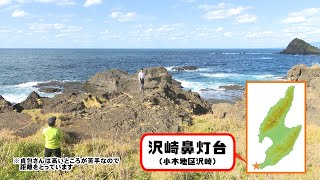 ぶら～り ジオパークだっちゃ！ 第９回「沢崎の隆起波食台（さわさきのりゅうきはしょくだい）」編