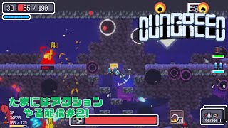 ローグライクアクションゲームを楽しむ配信＃21【DUNGREED】