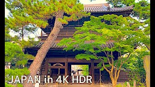 【4K HDR】Walk in Tokyo Japan| from Sengakuji to Takanawa Gateway station