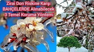 Zirai Don Riskine Karşı BAHÇELERDE Alınabilecek Koruma Yöntemleri🌳Ağaçları Soğuktan Koruma Yolları