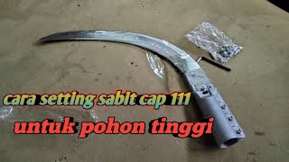 cara setting dan pasang sabit cap 111‼️ untuk pohon tinggi