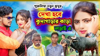 দেখা হবে বন্ধ কুদাগাড়ার কাড়া লড়াই। singer-asis mahato 🐻‍❄️ dikha habi bandu kudagara kara lorai