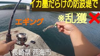 5月31日。イカ墨だらけの防波堤からエギングしたらエグすぎた！！長崎県 西海市