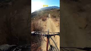 Sick trail to ride #mtb #youtubeshorts #mtbbike #mtbstyle #mountainbike #shortvideo