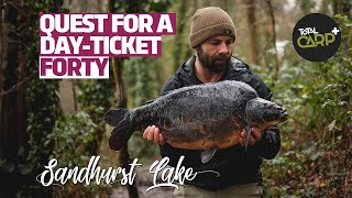 Quest for a day ticket forty - Sandhurst (EXTRACT)