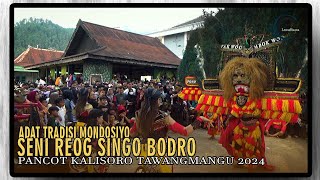 REOG SINGO BODRO TRADISI MONDOSIYO DUSUN PANCOT TAWANGMANGU