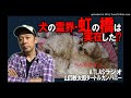 atlasラジオ114：犬の霊界・虹の橋は実在した