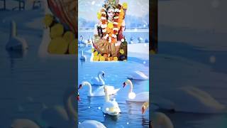 Om joy saraswati mata #youtube#shorts#maaerasha