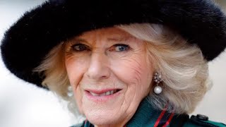 Did Camilla Parker Bowles Really Say This After Meeting Prince William For The First Time?