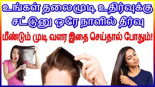 🔥உங்கள் தலைமுடி உதிர்வுக்கு சட்டுனு ஒரே நாளில் தீர்வு! 🔥🔥மீண்டும் முடி வளர இதை செய்தால் போதும்!🔥🔥