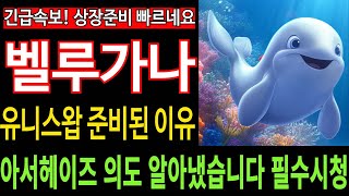 [벨루가나 밈코인] BELUGANA - 긴급속보 유니스왑 준비된 이유 아서헤이즈 의도 알아냈습니다 상장준비 빠르네요 필수시청 코미녀