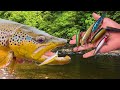 Jerkbait Lures For Trout COMPLETE HOW TO GUIDE (+Underwater Footage)