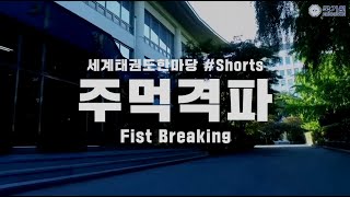 세계태권도한마당 다시보기 - 주먹격파 편 (World Taekwondo Hanmadang - Fist Breaking)