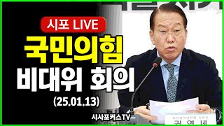 [다시보기] 국민의힘 비대위 회의 (25.01.13)