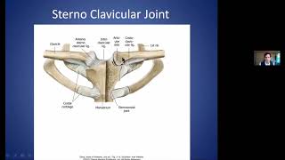 Barral-Anatomy Series – Visceral Manipulation: Thorax -  Online Video Preview