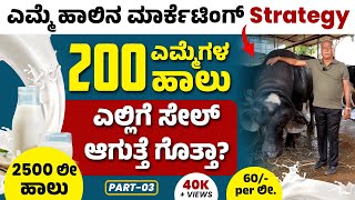 Marketing Strategy of Buffalo Milk | ಹೆಚ್ಚು ಹಾಲು ಕೊಡುವ ಮುರ್ರಾ ಎಮ್ಮೆ - ಪ್ರತಿದಿನ 2500 ಲೀ ಹಾಲು