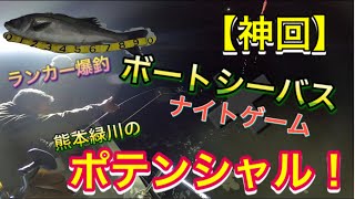 ナイトゲーム ボートシーバス 釣り ランカー級爆釣 熊本 緑川のポテンシャル