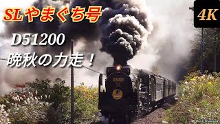 SLやまぐち号 D51200 2020年プレラストラン ～晩秋の力走～ 2020.11.21【Japanese Steam Train \