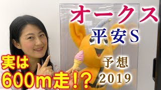 【競馬】オークス 2019 平安S 予想 （繰り返される600ｍ競走…） ヨーコヨソー