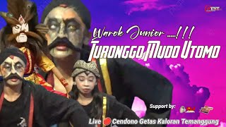 WAROK JUNIOR.... TURONGGO MUDO UTOMO KALISAT LIVE CENDONO GETAS KALORAN TEMANGGUNG