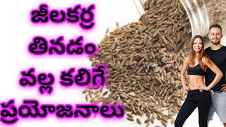 జీలకర్ర తినడం వల్ల కలిగే ప్రయోజనాలు | Health Benefits of Cumin I Jelakara in Telugu | Mana Ayurvedam