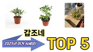 가장 많이 팔린 갑조네 추천 TOP 5 가격, 후기, 구매처