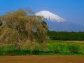 【合唱曲】 「富士山」から 『百年たったある日の朝』