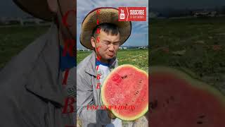 Farm Fresh Ninja Fruit Tik Tok China EP 71