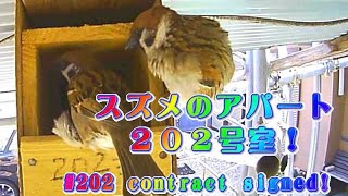 スズメのアパート202号室へ入居してきたカップル ～New residents for #202！～