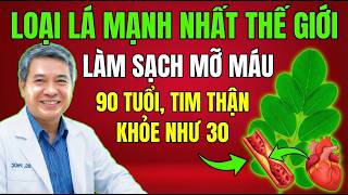 1 loại lá giúp làm sạch mỡ máu, 90 tuổi tim thận khỏe như 30 | BÁC SĨ HƯỚNG DẪN