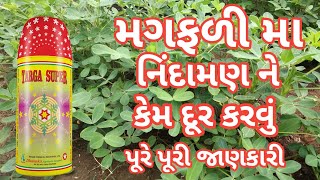 Targa Super Dhanuka | મગફળીમાં નિંદામણ ની દવા | મગફળી નિંદામણ નાશક દવા | magfali kheti gujarati