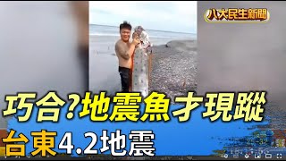 巧合?地震魚才現蹤 台東4.2地震 |【民生八方事】| 2022061001 @gtvnews27