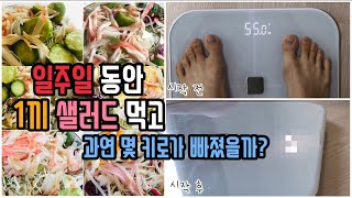 [diet vlog] 일주일 동안 하루에 한끼 샐러드 먹으면 살이 얼마나 빠질까!? |다이어트 |식단관리 | 샐러드 | 브이로그 | 음식 | 관리 |