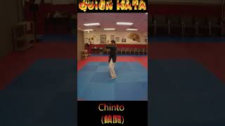 Kata Tutorial: Chinto #karate #karatekata #chinto