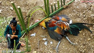 สาวดอย ทำกับดักไก่แบบโบราณได้ผล100% Traditional chicken trap are 100% effective