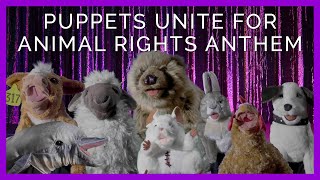 Puppets Take the Mic in Animal Rights Song